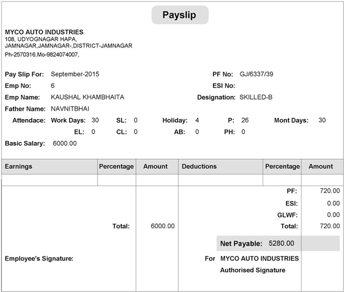 Payroll Management System Software Salary Sleep